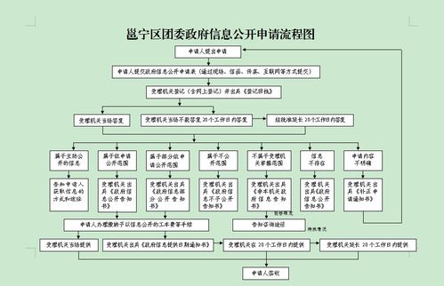 邕寧區團委政府信息公開申請流程圖與信息系統集成服務解析
